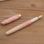 Luxury Metal Fountain Pen with Ink, Pink Floral Design, Fine Nib, Professional Writing Pen Gift Set